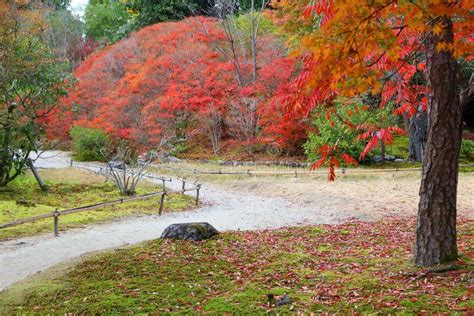 Autumn foliage, Japan stock image. Image of traditional - 125605647