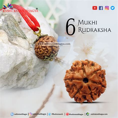 Buy Mukhi Rudraksha Beads Online At Rashi Ratan Bagya Mukhi Rudraksha