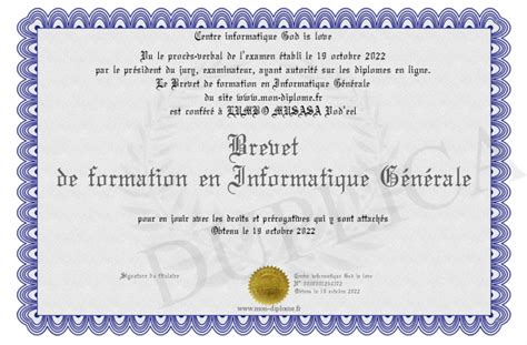 Brevet De Formation En Informatique Generale