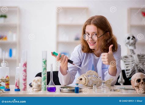 Young Female Zoologist Working At The Lab Stock Image Image Of Girl