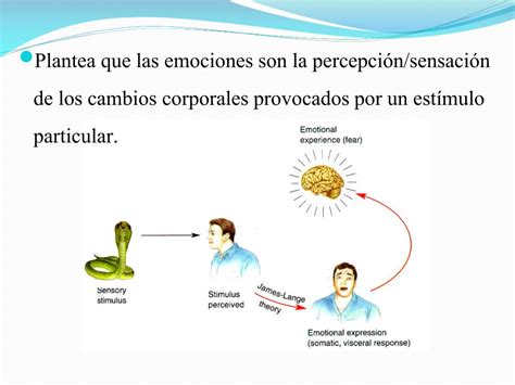 PPT Teoría de la Emoción James Lange PowerPoint Presentation free