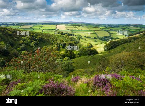 The Punchbowl At Winsford Hill In Exmoor National Park Somerset