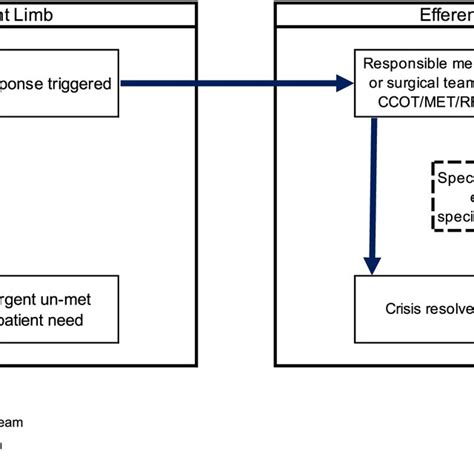 Conceptual Model Of The Rapid Response System Rrs Adapted From