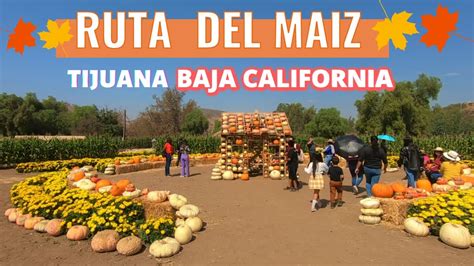 Ruta Del Ma Z Tijuana Baja California De Aventuras Youtube