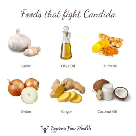 Candida Diet Food List Pdf Foods To Eat And Avoid Artofit