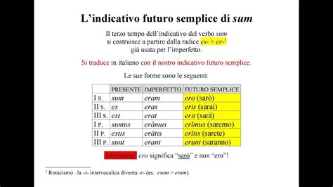 L Indicativo Futuro Semplice Del Verbo Sum In Latino L Essenziale