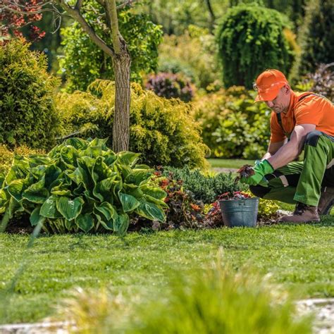 The Benefits Of Professional Landscaping Glue Sticks And Gumdrops