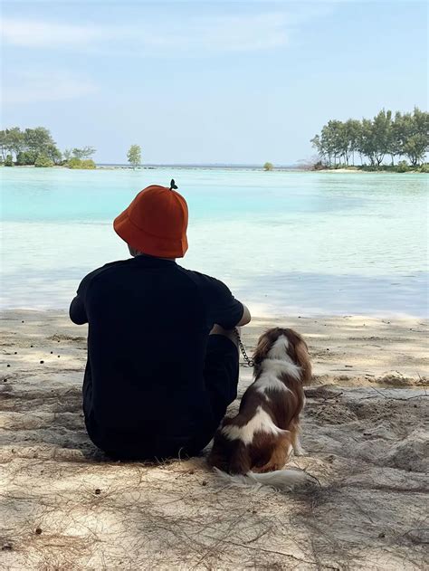 Boy William Unggah Potret Liburan Bersama Anjingnya Ke Pantai Nyaman