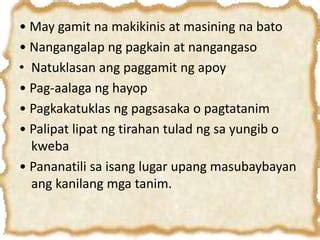 Ed Tech 2 Panahon Ng Paleolitiko Neolitiko At Metal PPT