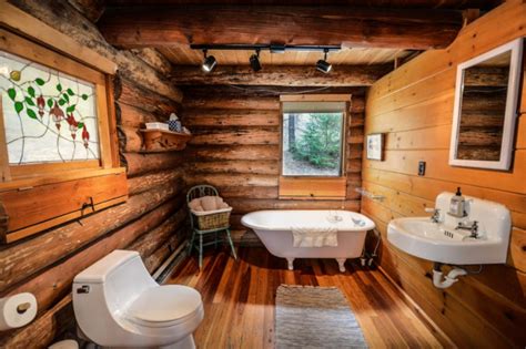 Unique Cabin Toilet