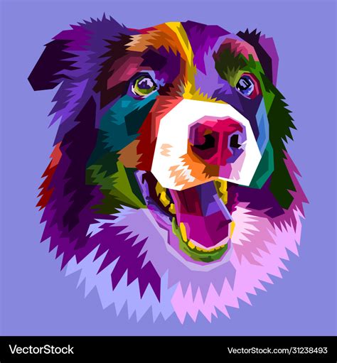 Colorful Border Collie Dog Isolated On Pop Art Vector Image