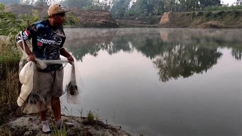 Rejeki Nomplok Jala Ikan Di Danau Dapat Ratusan Ikan Nila Nets