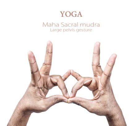 Set Of Mudras It Includes Such Mudras Prana Mudra Gyan Mudra Apan