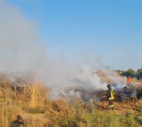 Ardea Ancora Un Incendio Doloso A Fuoco Discarica Abusiva FOTO