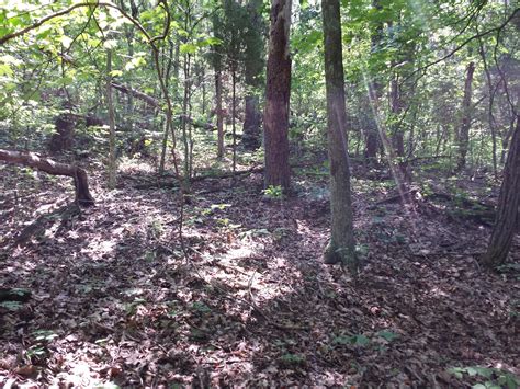 Future developments will soon expand the reach of christian sells rogersville tennessee 3