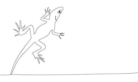 Lizard one line continuous. Line art Lizard isolated on transparent ...