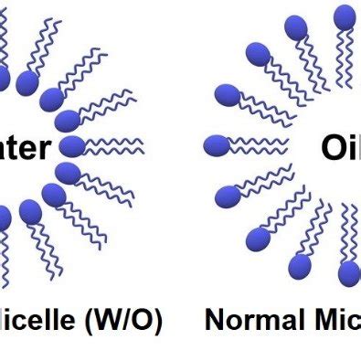 A Schematic Representation Of A Re Q L Cluster Unit And B The