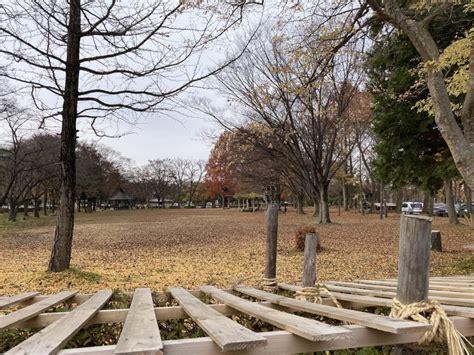 弘前市運動公園 青森あちこち