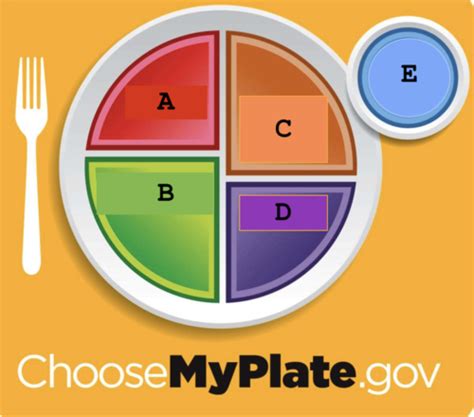 Nutrition And Metabolism Chapter Flashcards Quizlet