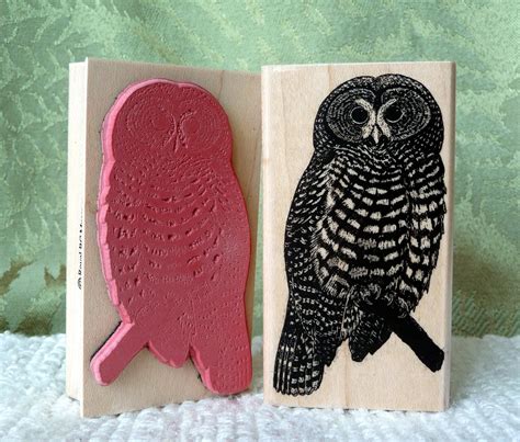 Spotted Owl Rubber Stamp From Oldislandstamps By Oldislandstamps