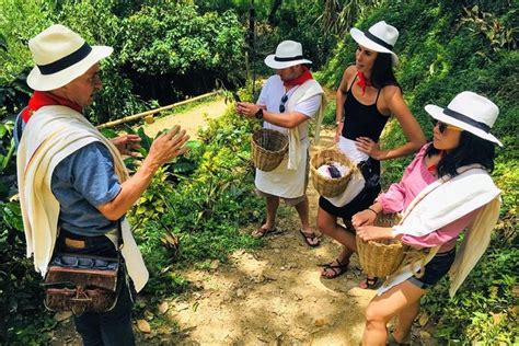 EXPERIENCES COLOMBIA (Coffee Tour)