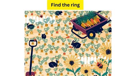 1 Minute Brain Teaser The Lost Wedding Ring Help The Two Love Birds