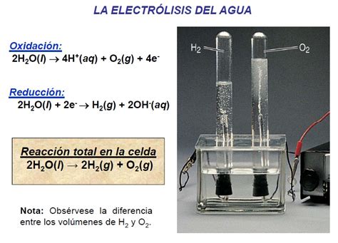 El FÍsico Loco Electrólisis Del Agua