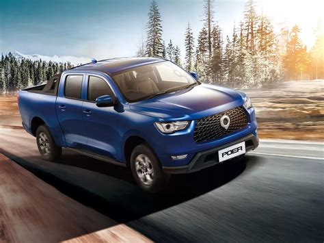 Greatwall Poer Commercials 2021 models and trims, prices and ...