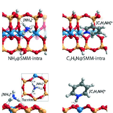 Optimized Structures Of The Adsorption Complexes Of A Ammonia Nh