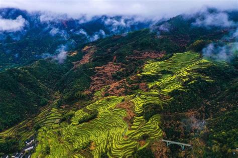 新华社：上饶篁岭：油菜花海正值赏花期 迎来本月游客量高峰 Isenlincn