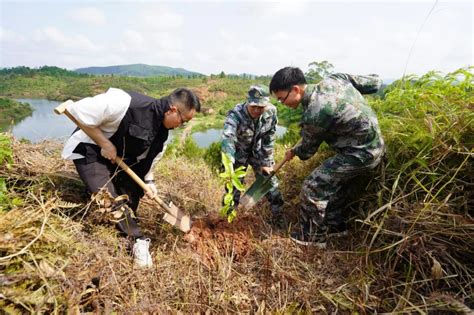 传承岳山造林光荣传统肇庆怀集民兵再添新绿 房产资讯 房天下