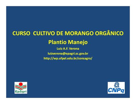 PDF Curso Cultivo de Morango Orgânico Plantio e Manejo DOKUMEN TIPS