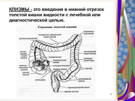 Клизмы - презентация онлайн