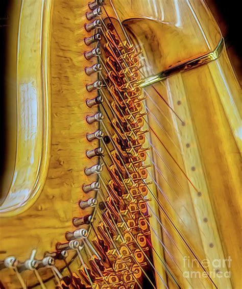 Harp Photograph By Randy J Heath Pixels