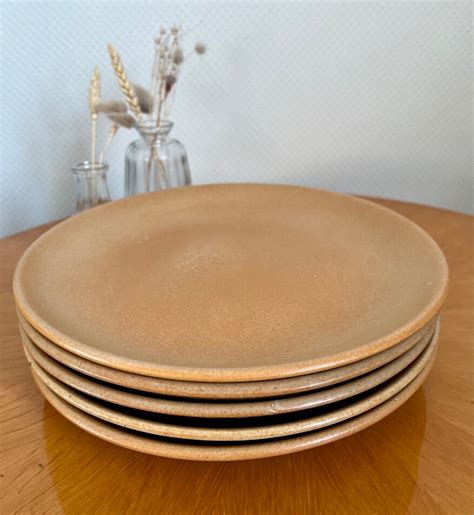 Lot De Grandes Assiettes Plates En Gr S Vintage Beige Marron