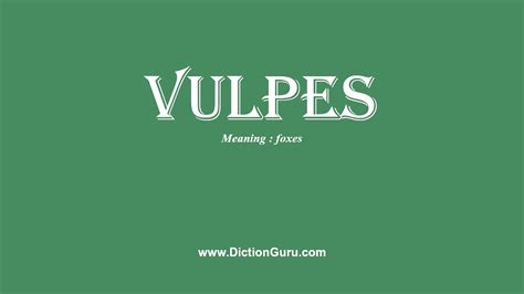 Vulpes Pronounce Vulpes With Meaning Phonetic Synonyms And Sentence