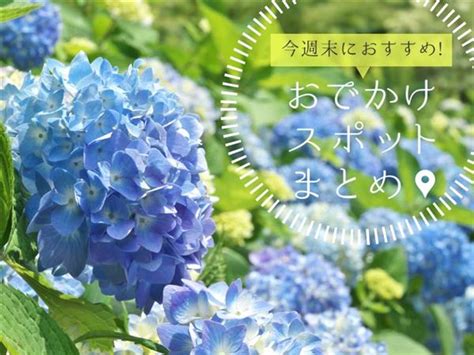 【6月15日土・16日日】今週末に楽しめるイベント・おでかけスポットまとめ おでかけ情報｜ちゅらとく