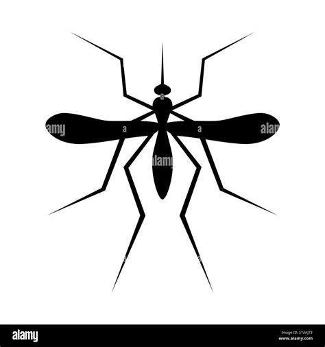 Silhouette of Mosquito. Insect, Culex pipiens isolated on white ...