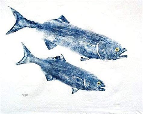 Amazon Two Bluefish Gyotaku Fish Rubbing Art Print X Inch