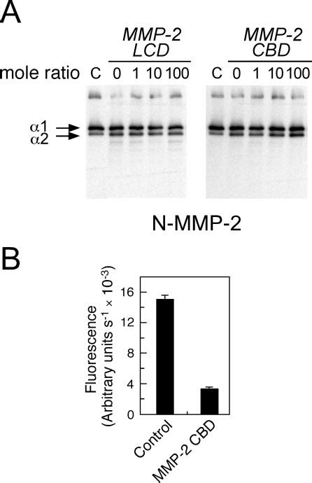 Structural Perturbation Of Native Collagen Upon Binding Of Recombinant