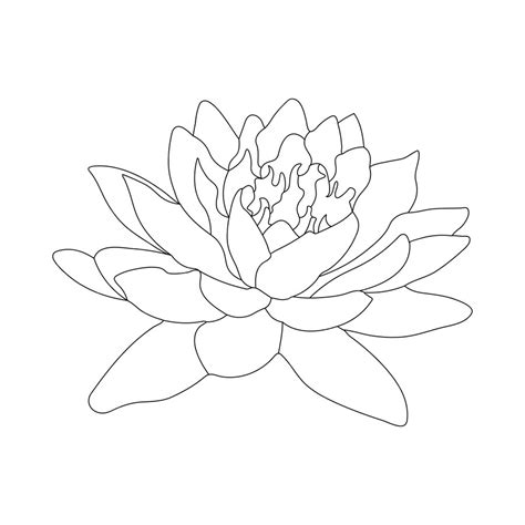 Premium Vector Water Lily Coloring Page And Line Art Flower Sketch