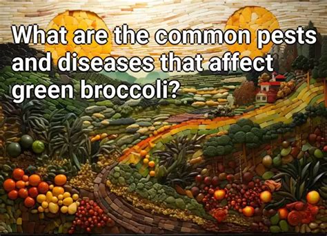 What Are The Common Pests And Diseases That Affect Green Broccoli