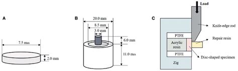 Schematic Diagrams Of Shear Bond Strength Test A Disk Shaped