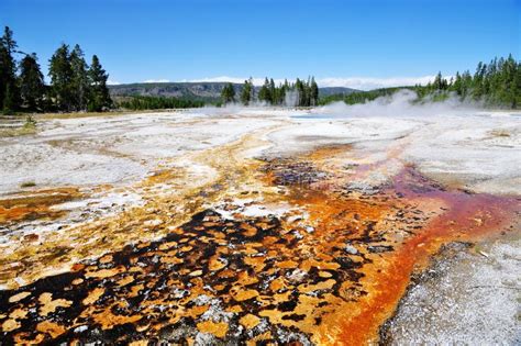 Daisy Geyser Stock Photo Image Of Canyon Black America 45285388