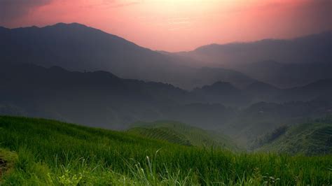 Wallpaper Sunlight Landscape Forest Sunset Hill Nature Field