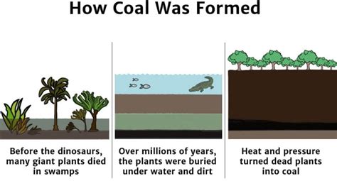 Coal Knowledge Bank Solar Schools