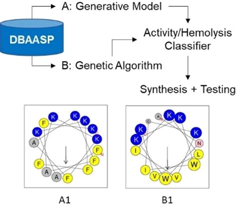 Machine Learning Guided Discovery Of Non Hemolytic Membrane Disruptive