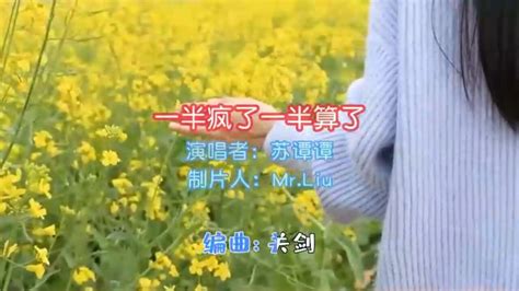 《一半疯了一半算了》完整版mv高清1080p在线观看平台腾讯视频