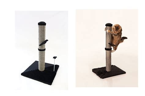 Top 10 Best Scratching Posts For Cats Of 2023 Review Best Pet Pro