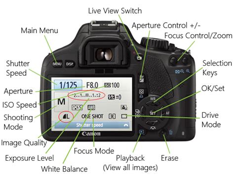 Canon Eos 90d For Dummies Cheat Sheet Artofit